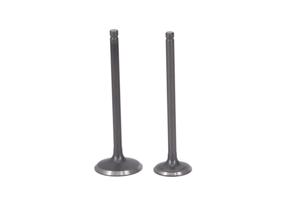 Kit De Valvulas 125EN